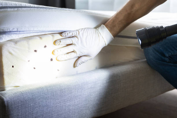 Best Pest Prevention Services  in Bargersville, IN