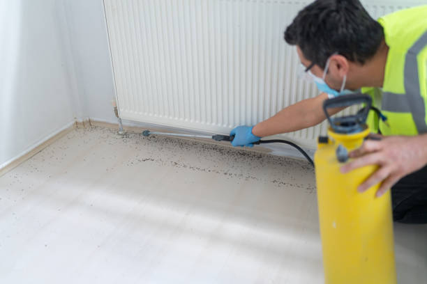Best Termite Control Services  in Bargersville, IN
