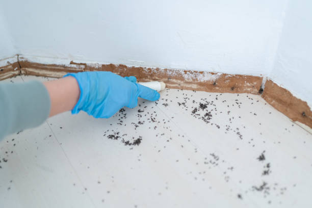 Best Pest Control for Restaurants  in Bargersville, IN