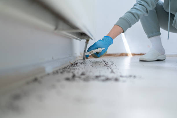 Best Local Pest Control Services  in Bargersville, IN