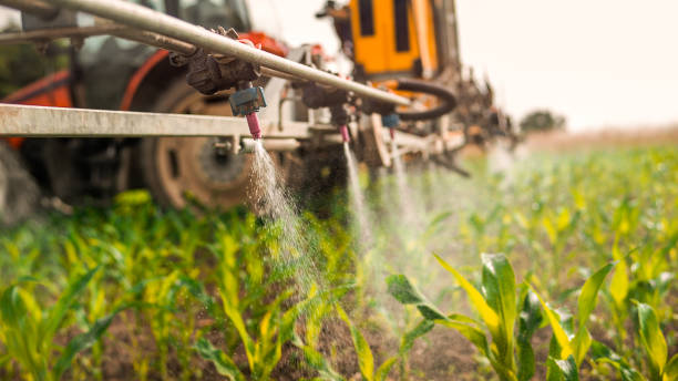 Best Mosquito Control Services  in Bargersville, IN